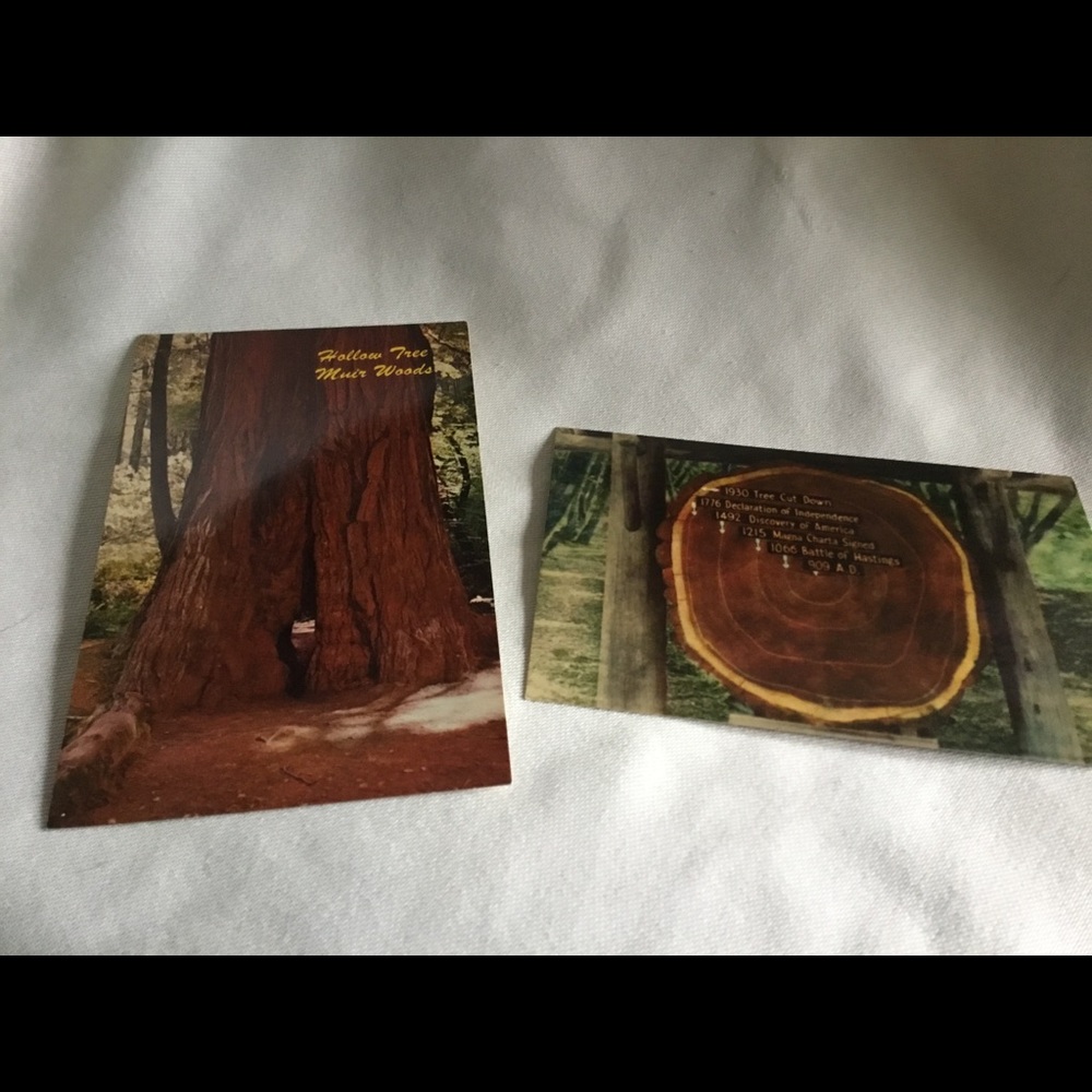 2 vintage postcard Muir Woods sequoias California